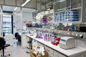 Вступают в силу новые требования к испытательным лабораториям при обязательной оценке соответствия продукции